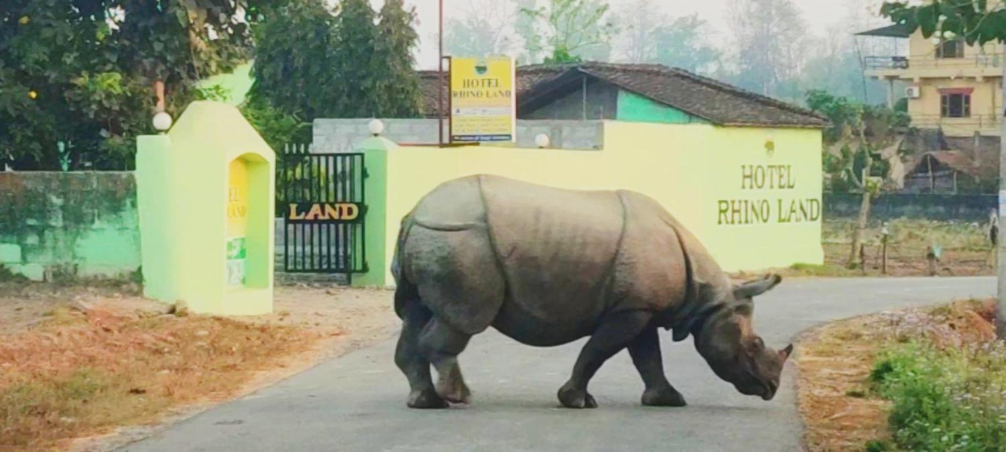 Hotel Rhino Land, Sauraha Extérieur photo
